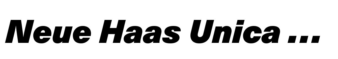 Neue Haas Unica Paneuropean Extra Black Italic